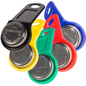 DS1990A iButton TS